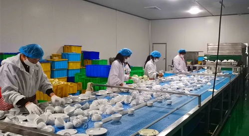 山東菏澤強化餐飲具衛生監管，筑牢群眾用餐安全防線